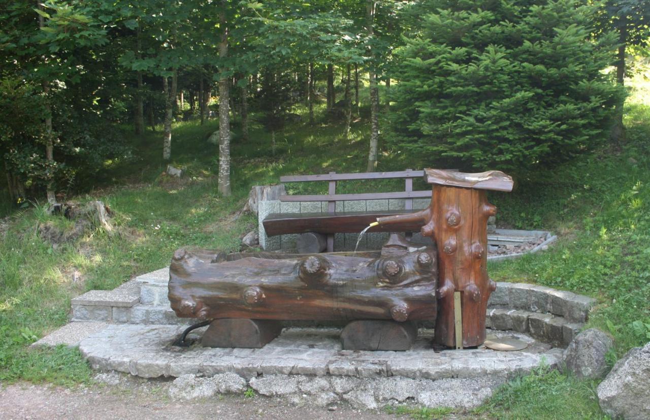 Landhotel Bartlehof Шлухзее Екстериор снимка